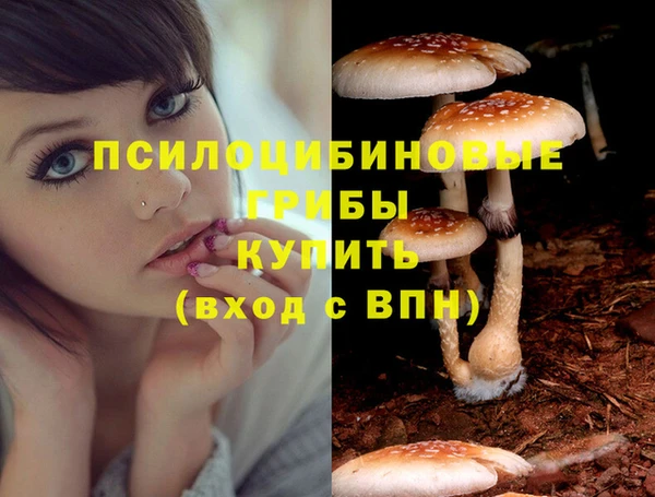 молекула духа Балахна