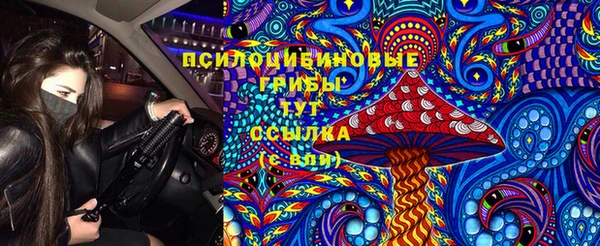 тгк Баксан
