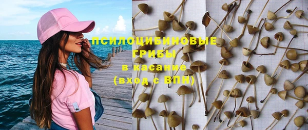 молекула духа Балахна