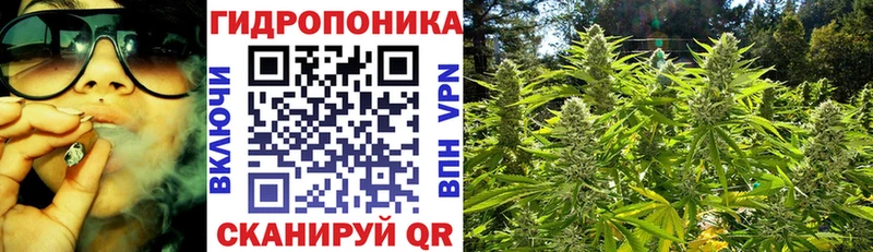 Бошки марихуана ГИДРОПОН  Купить закладки  Анапа 